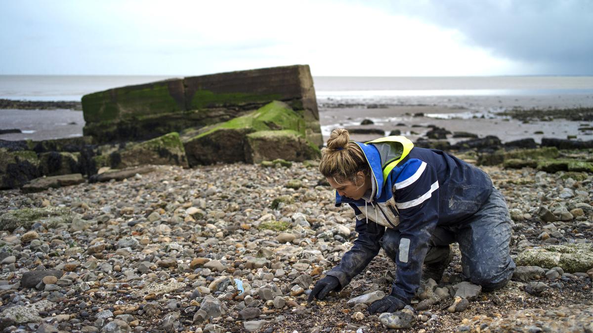 Police Discover Human Remains Which May Belong to Aussie Shark Victim