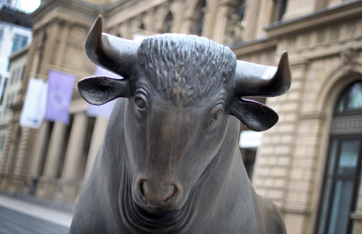 Mother, Son Killed by Bulls in Germany