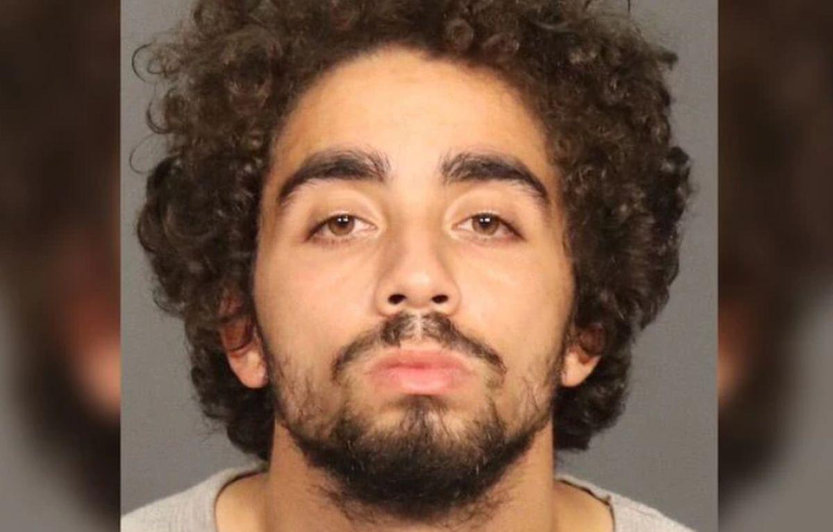 New York Man Admits to Sabotaging NYPD Car During Black Lives Matter Protests