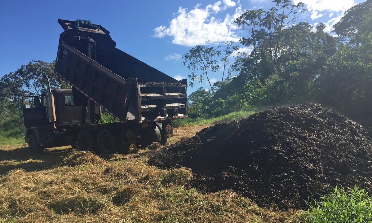Researchers Dump Tons of Coffee Waste Onto Degraded Land, 2 Years Later It’s Transformed