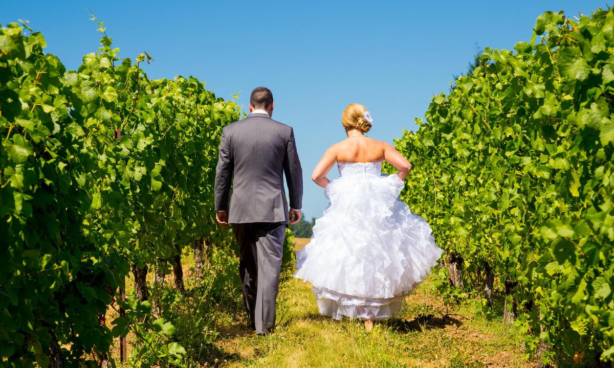 What Is a Winery? A Long-Time Debate in Sonoma County