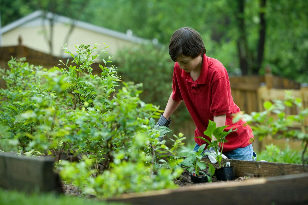 Weathering Life’s Storms by Rooting Children in a Garden