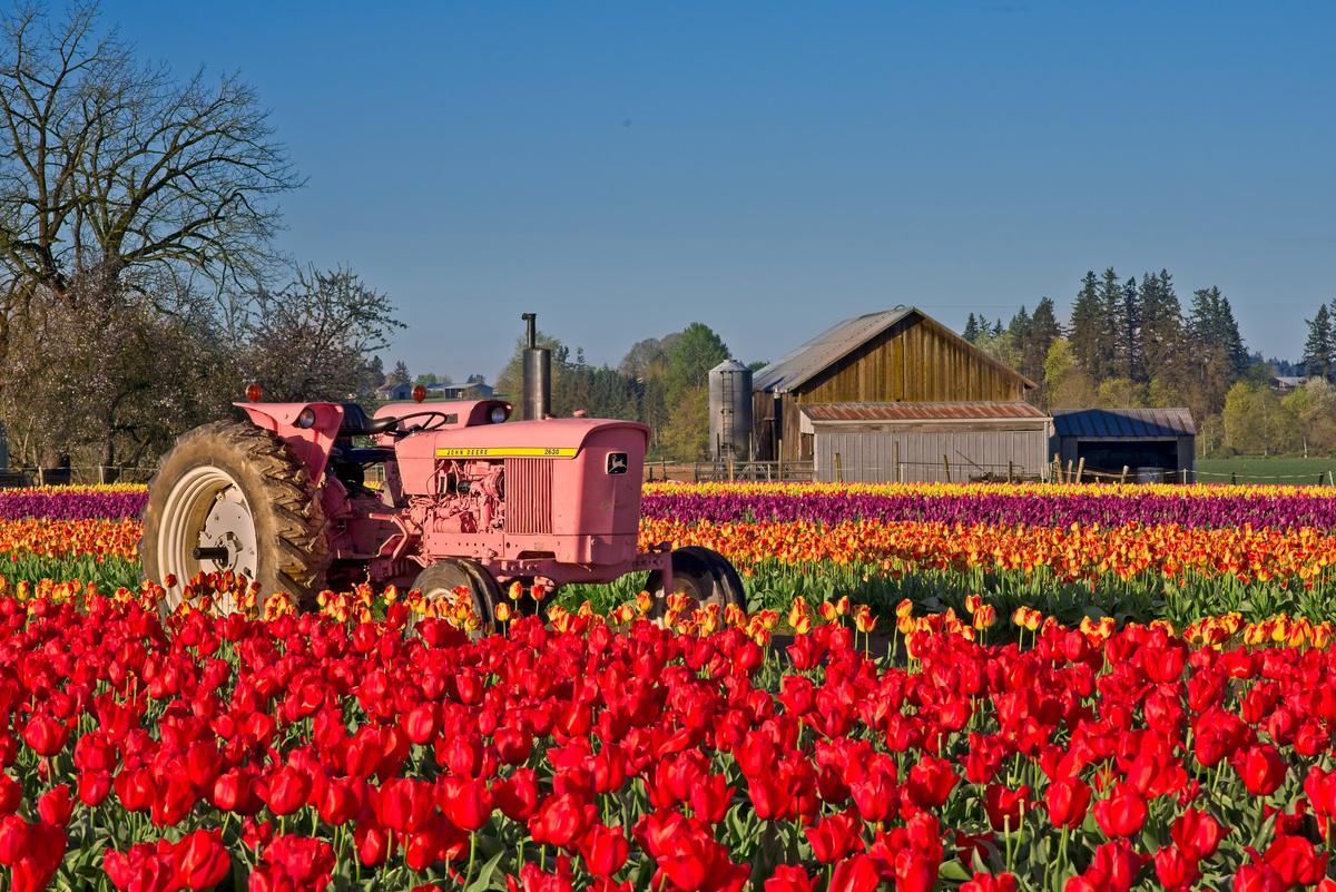 How to earn money and travel by working on farms