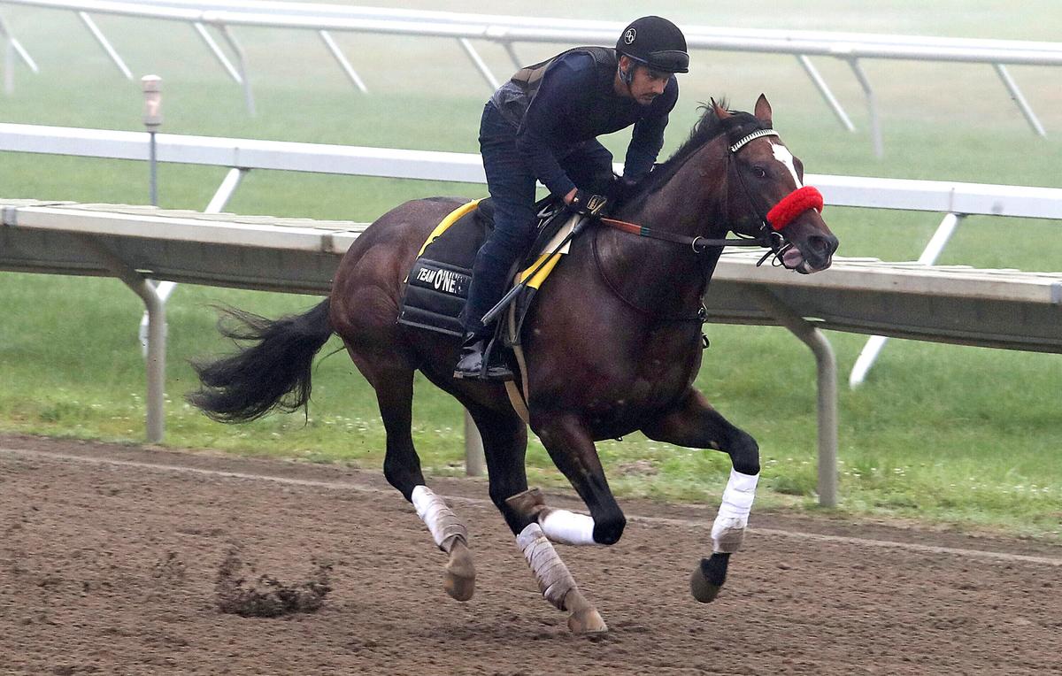 Hot Rod Charlie Favored in $1 Million Haskell at Monmouth