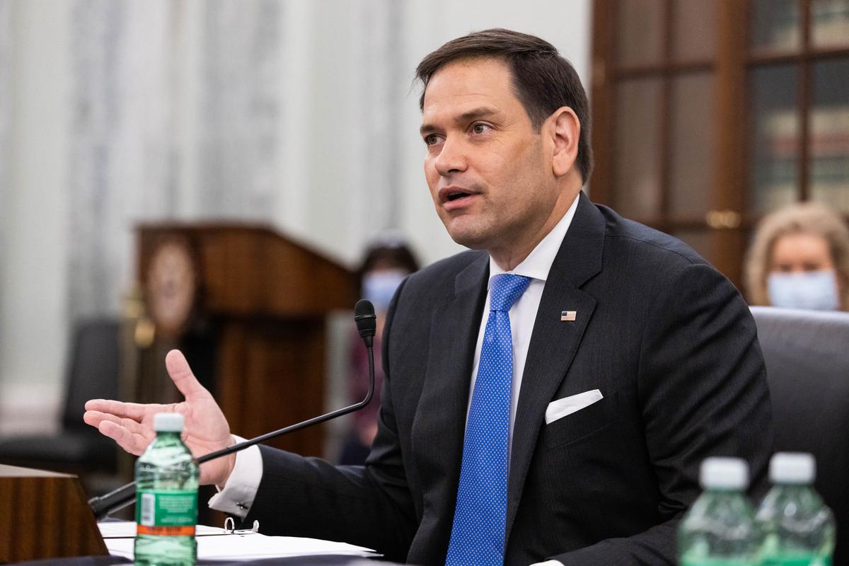Rubio Urges American Airlines to Suspend Free In-Flight TikTok Access
