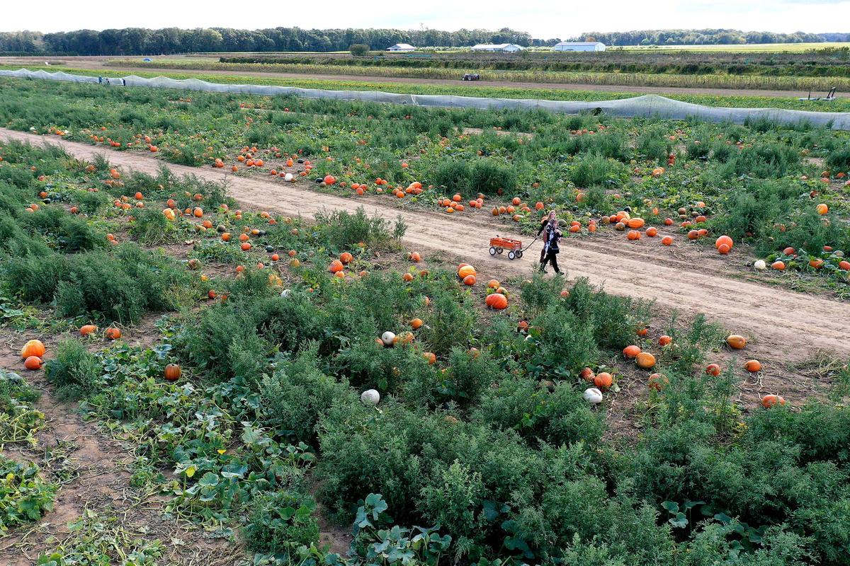 Farmers Cry Foul Over Biden’s Death Tax Proposal