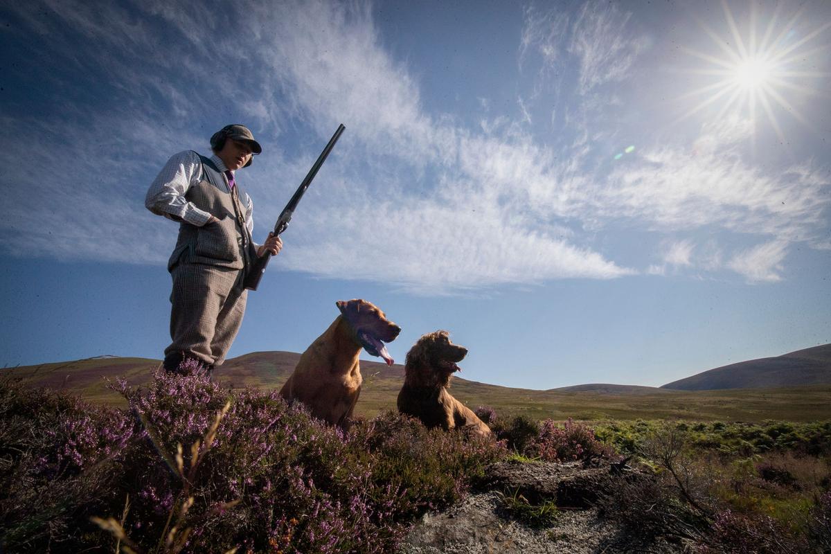 ‘Glorious Twelfth’ Marks First Day of Grouse Shooting Season
