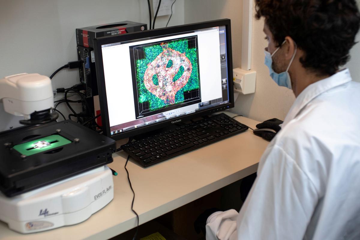 Experimental Drug Touted as Breakthrough for Intractable Brain Cancer