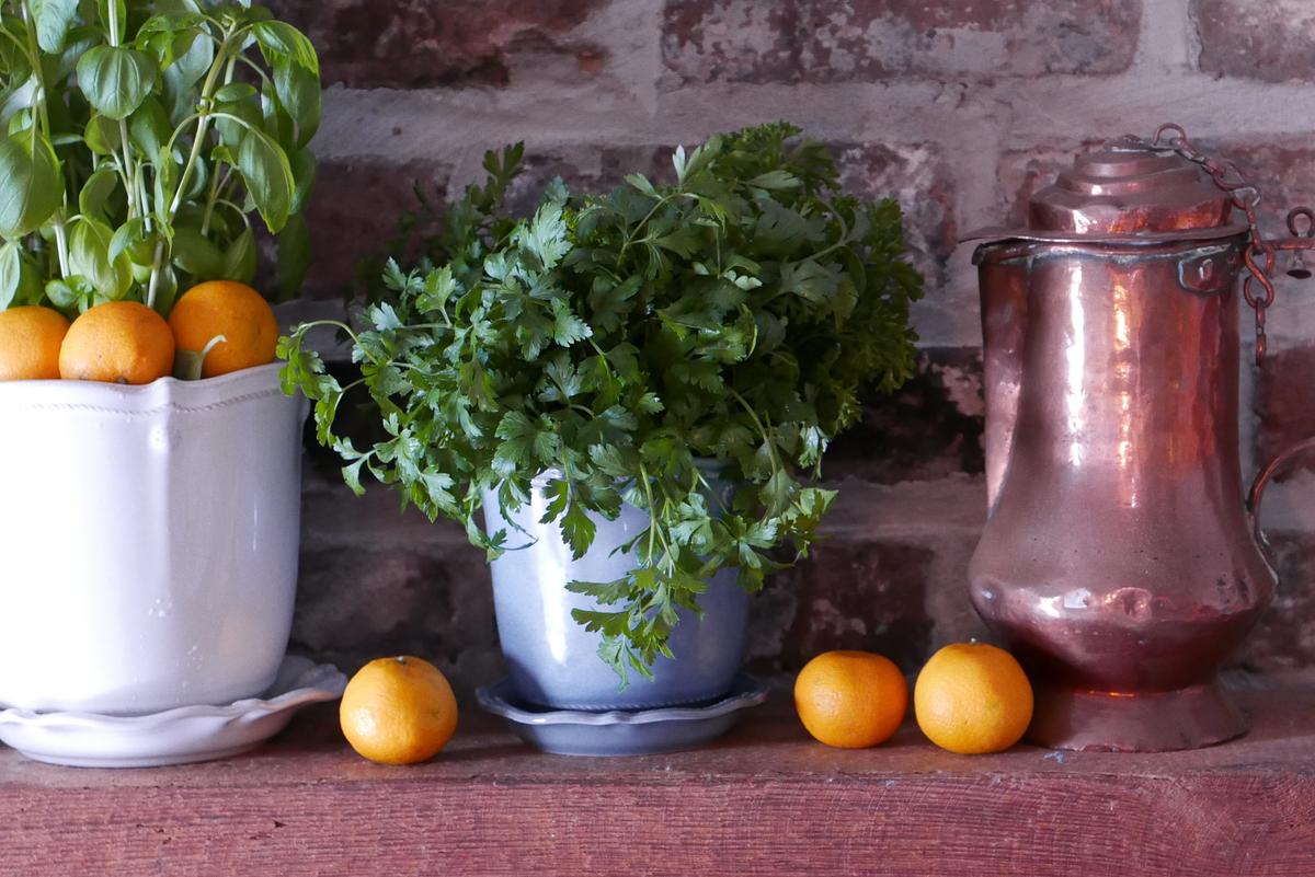 Brighten Every Meal With Fresh Herbs