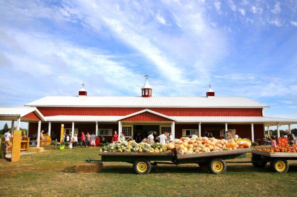 More farmstands are getting close to offering one-stop shopping. (Mervas/Shutterstock)