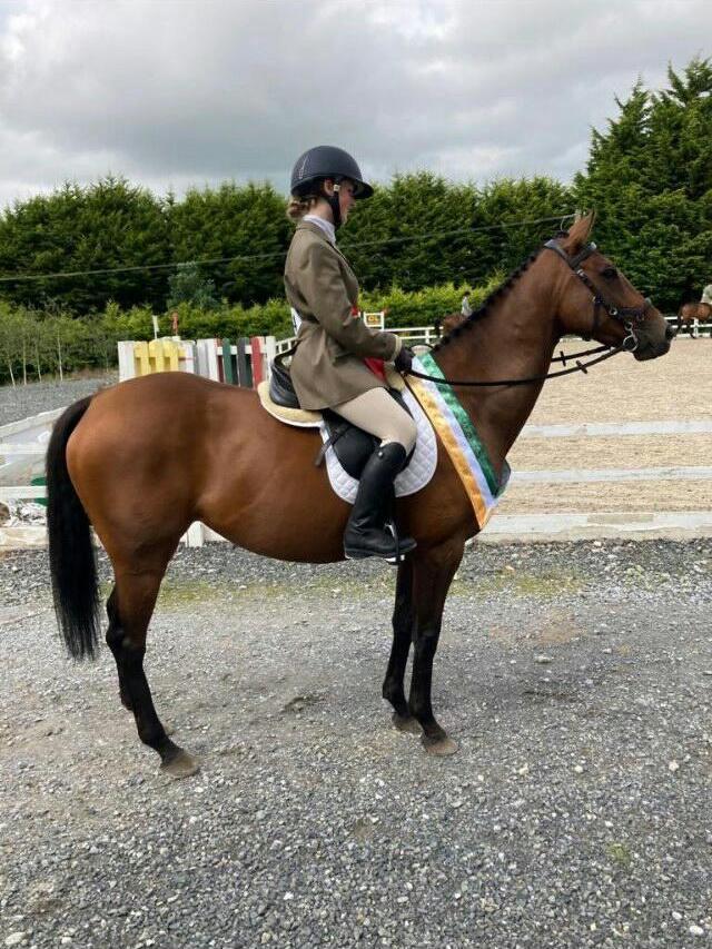 (Courtesy of <a href="https://www.facebook.com/MyLovelyHorseRescue/">My Lovely Horse Rescue</a>)