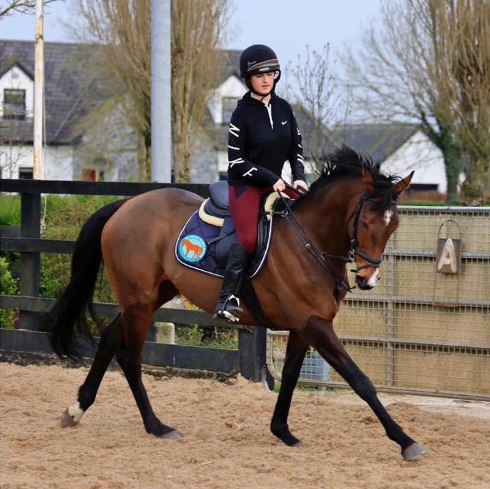(Courtesy of <a href="https://www.facebook.com/MyLovelyHorseRescue/">My Lovely Horse Rescue</a>)