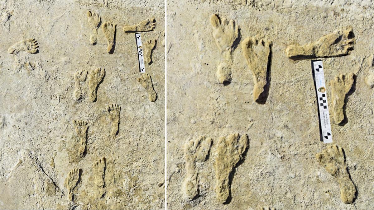 Oldest Human Footprints in North America Found in New Mexico