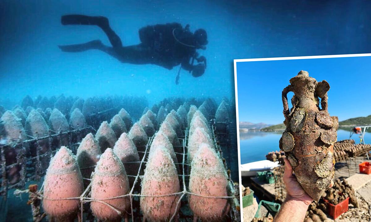 Winemakers Age Bottles of Red Below Adriatic Sea for 700 Days for ‘Flavor of the Ocean’