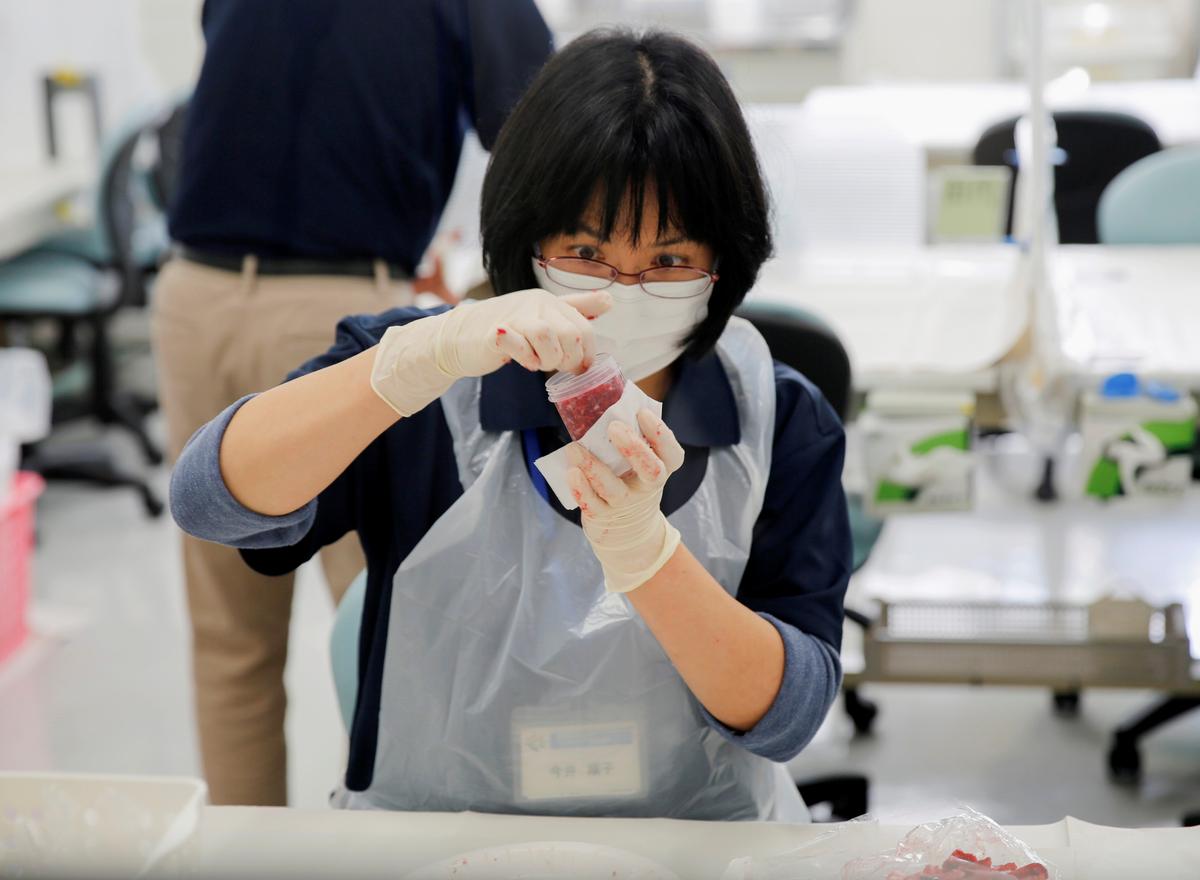 A Decade On, Fukushima Farmers Fear Nuclear-Tainted Water’s Impact on Business