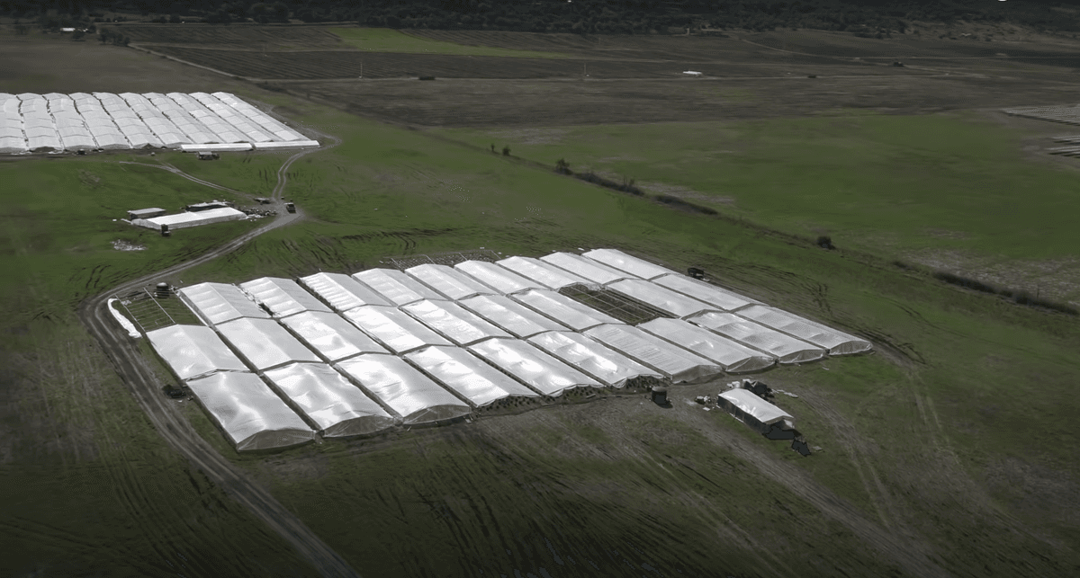 Oregon Congressman Presses AG Garland to Act on Narco-Slavery in Oregon