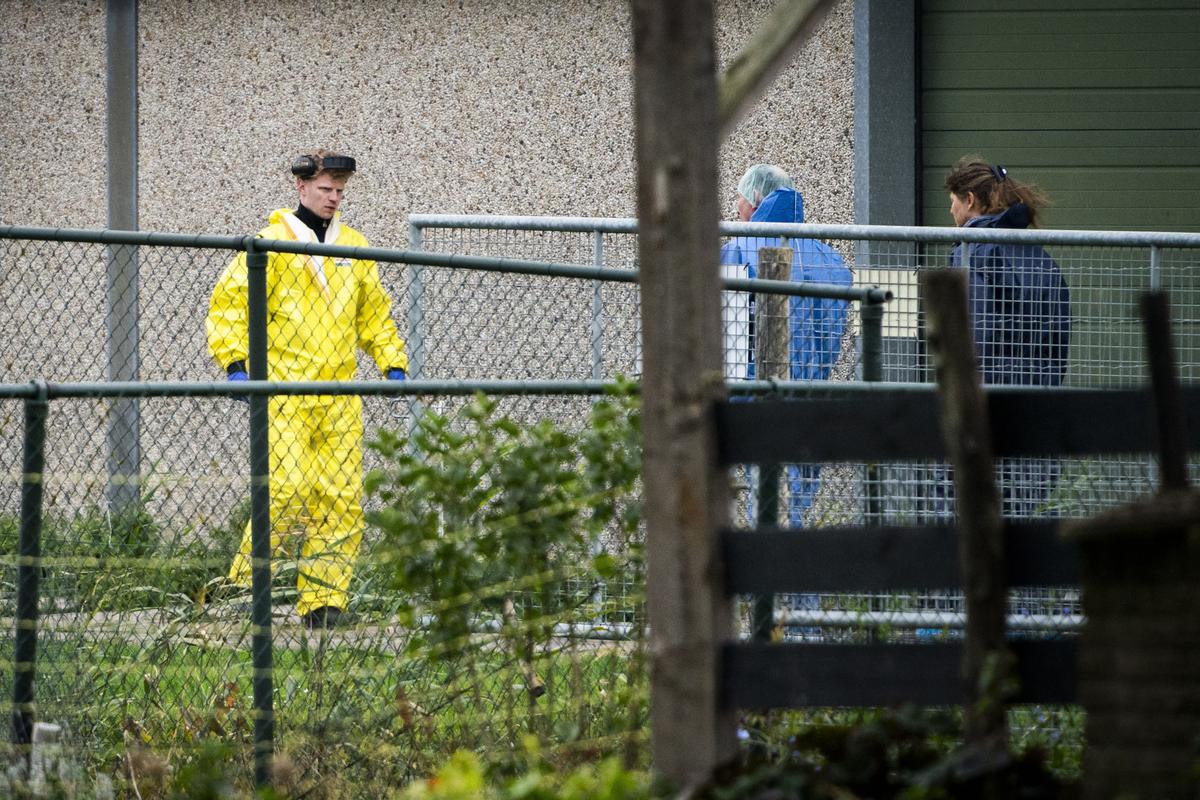 Bird Flu Spreads to Poland, Hitting Farms Totaling 650,000 Poultry