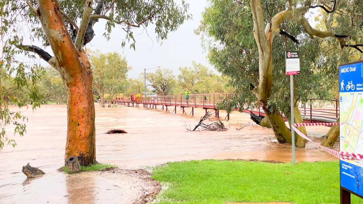 Man Clings to Tree in Australia for 6 Hours After Floodwaters Sweep Car Off Road