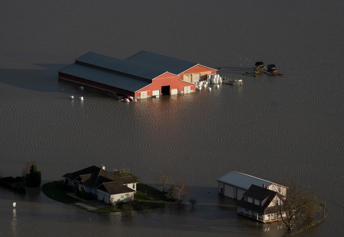 Abbotsford, BC, Residents Urged to Flee Low Lying Area as Flood Risk Escalates