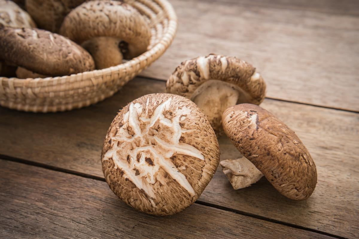 Shiitake Mushrooms Proven to Benefit Dozens of Diseases