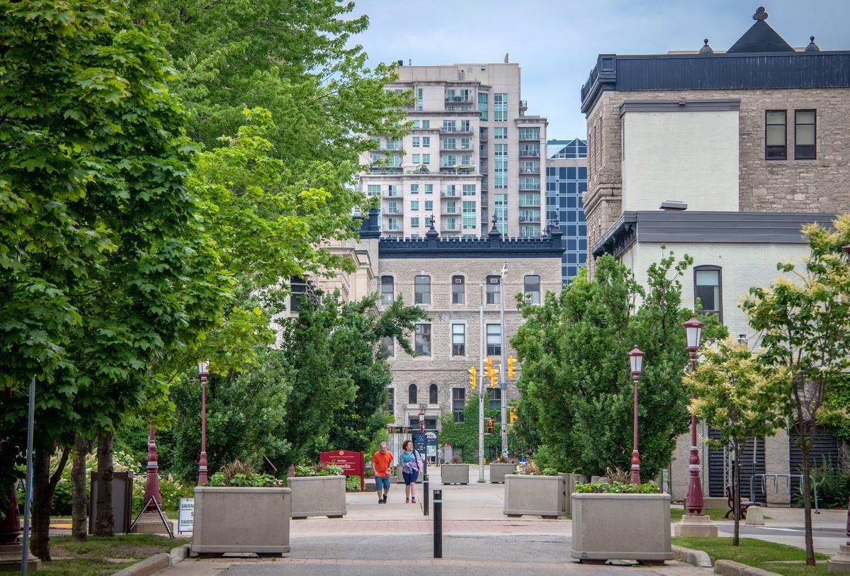 Are Academic Freedom and Diversity on a Collision Course?