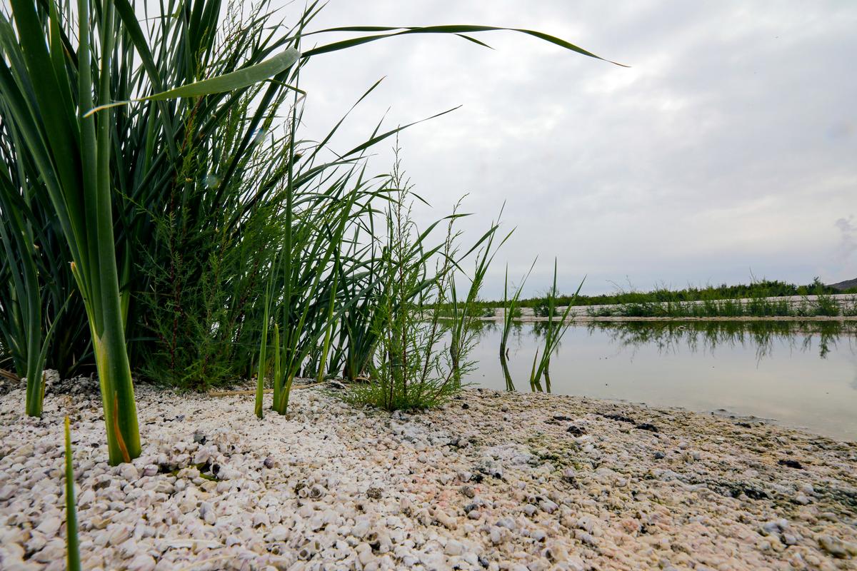 Can Lithium Cure What Ails the Salton Sea?