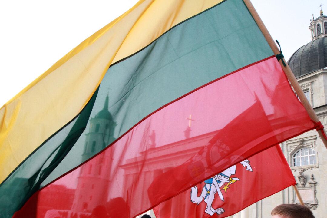 Lithuanian Capital City Suspends Flights Due to Drone Warning