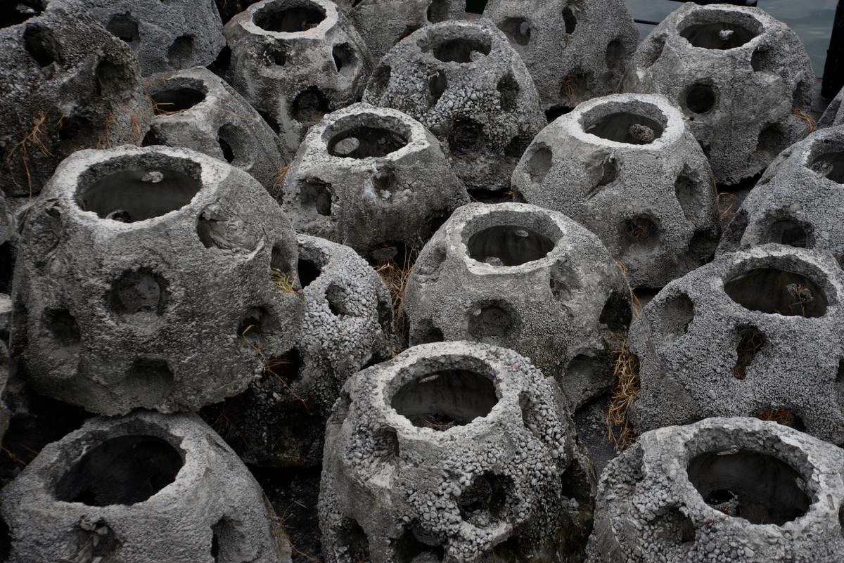 San Diego Port Installing 300 ‘Reef Balls’ As Pilot Oyster Living Shoreline Begins