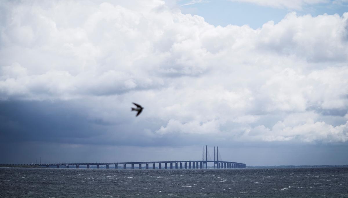 2 Cargo Ships Collide in Baltic, Rescue Underway