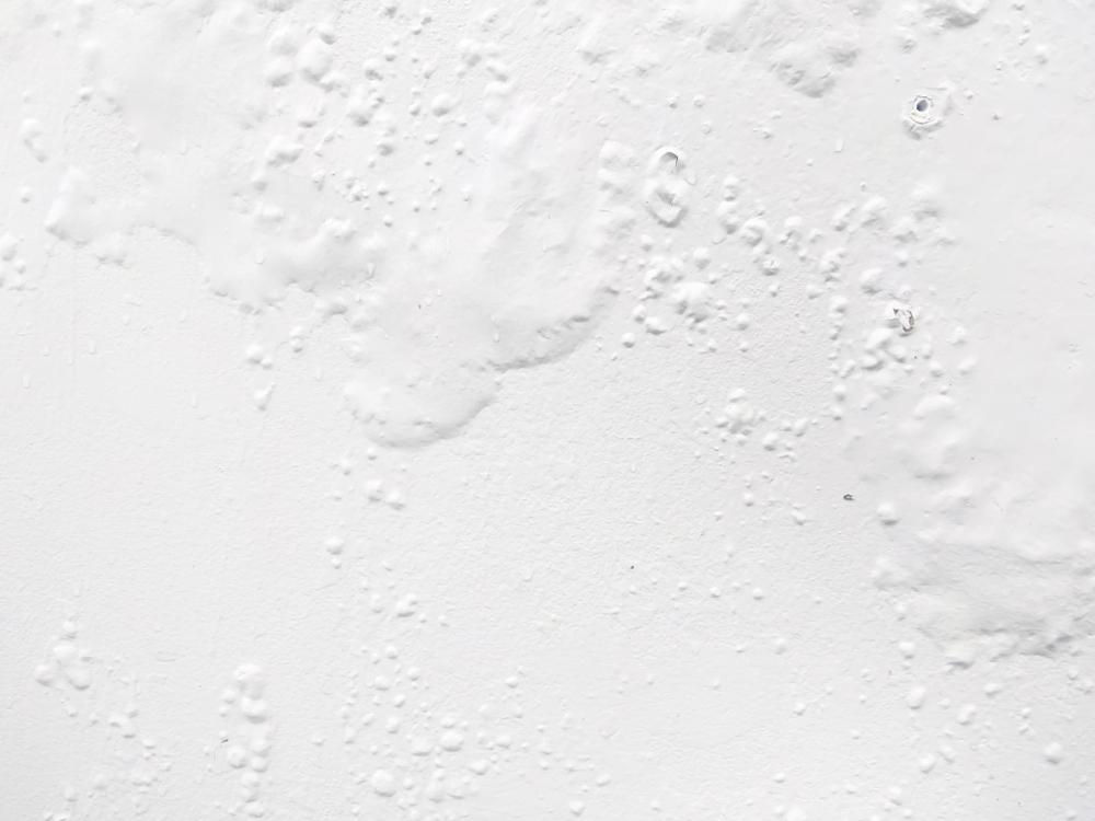 Minimize Paint Blistering With Proper Techniques