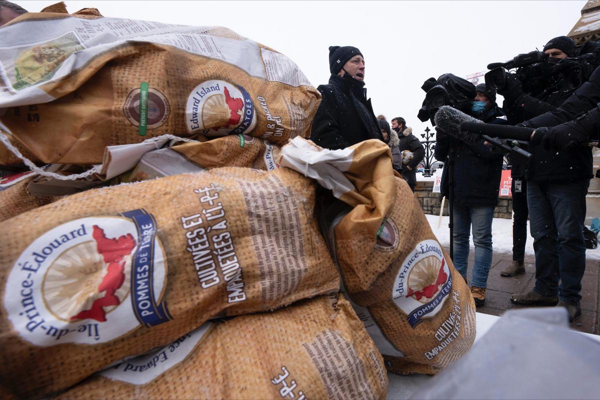 Ottawa Announces $28 Million to Help PEI Potato Growers Cope With Export Ban