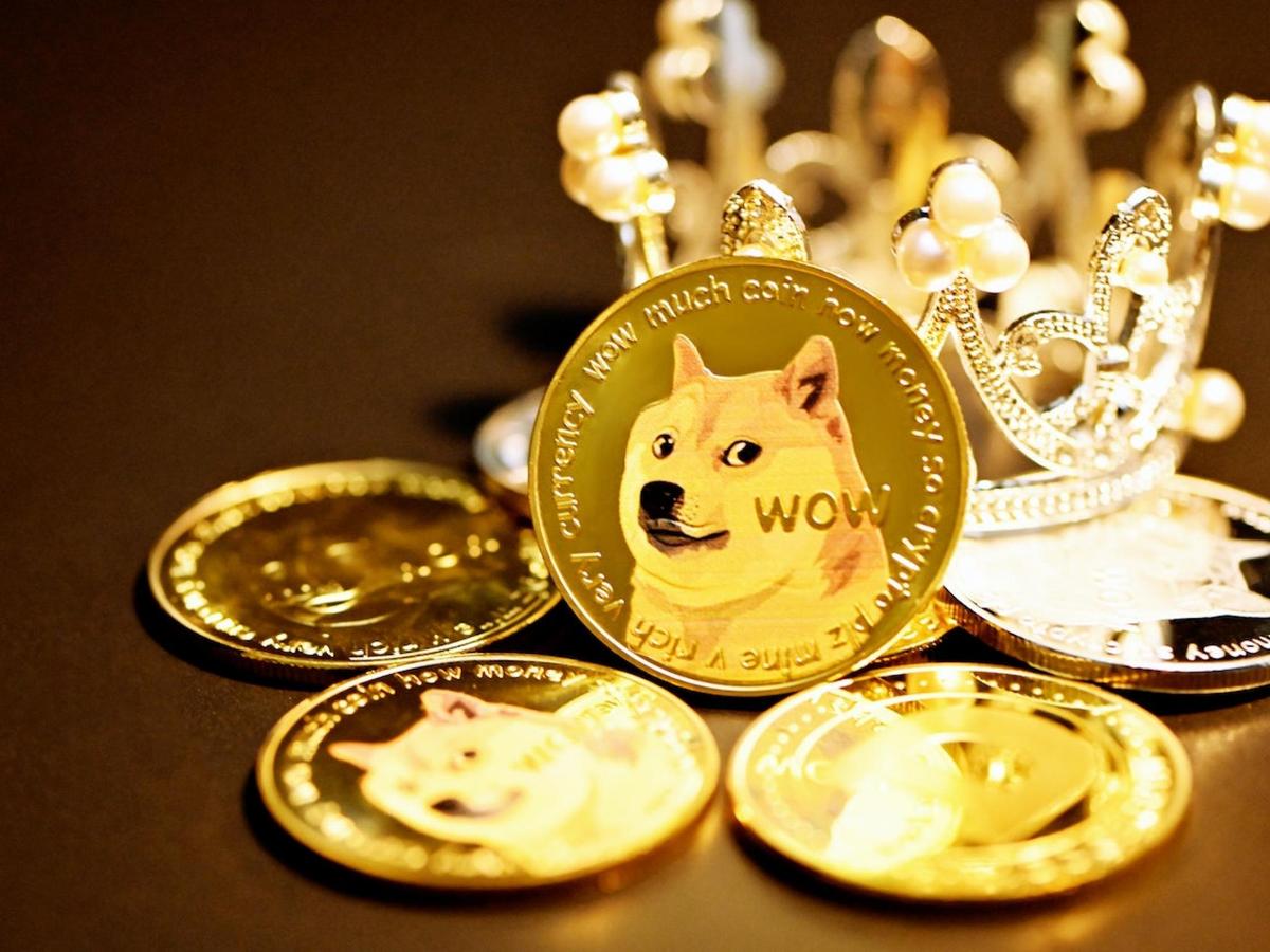 2021 Was The Year Of Dogecoin: A Month By Month Retrospective With Top Stories