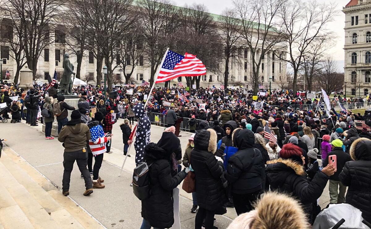 New York Protesters Rally in Albany Against Vaccine Bills: ‘We Need Civil Disobedience in This Country’