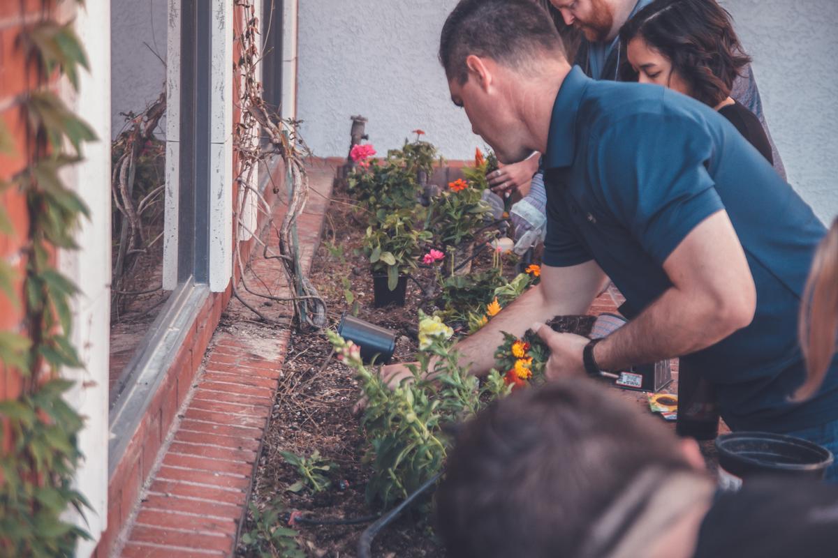 Can Gardening Save Your Life?