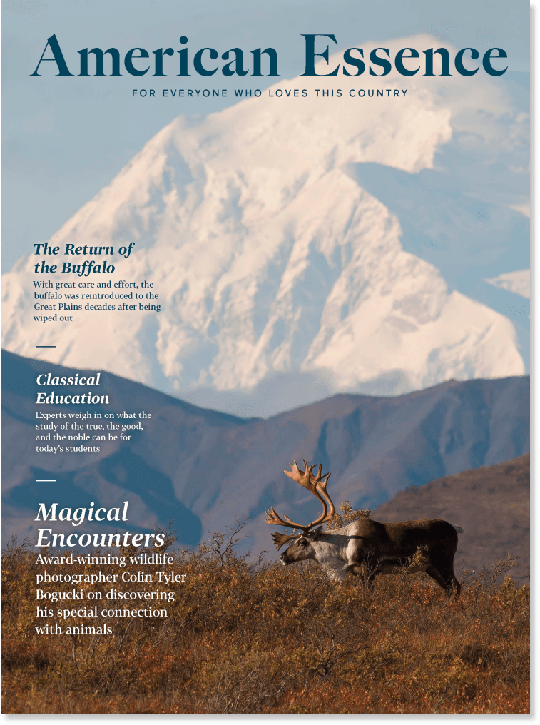 American Essence Magazine - Free Issue