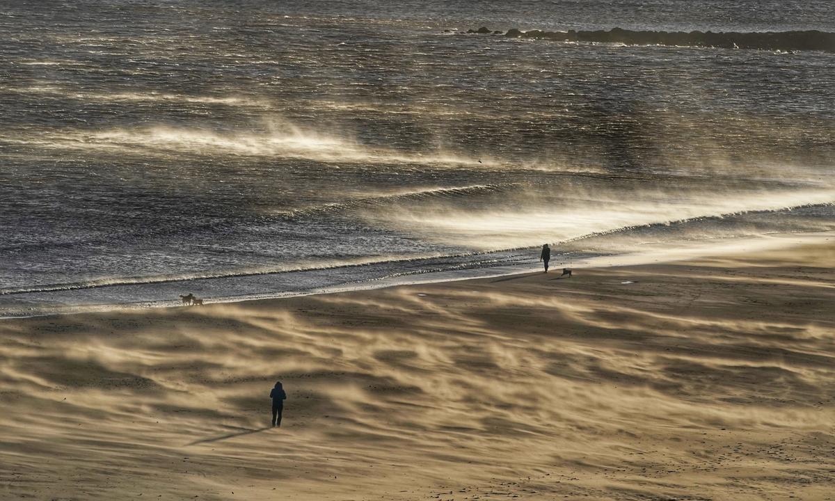 Woman Killed by Falling Tree as Storm Malik Batters UK