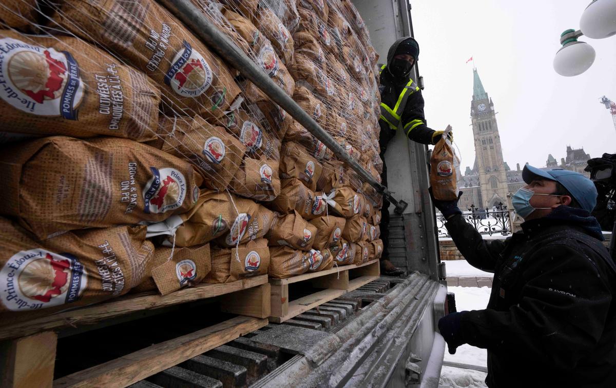 United States Allows Shipments of PEI Potatoes to Resume to Puerto Rico