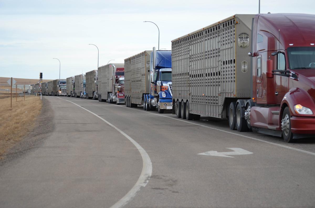 Inside the Coutts Freedom Convoy Blocking the US Border in Southern Alberta