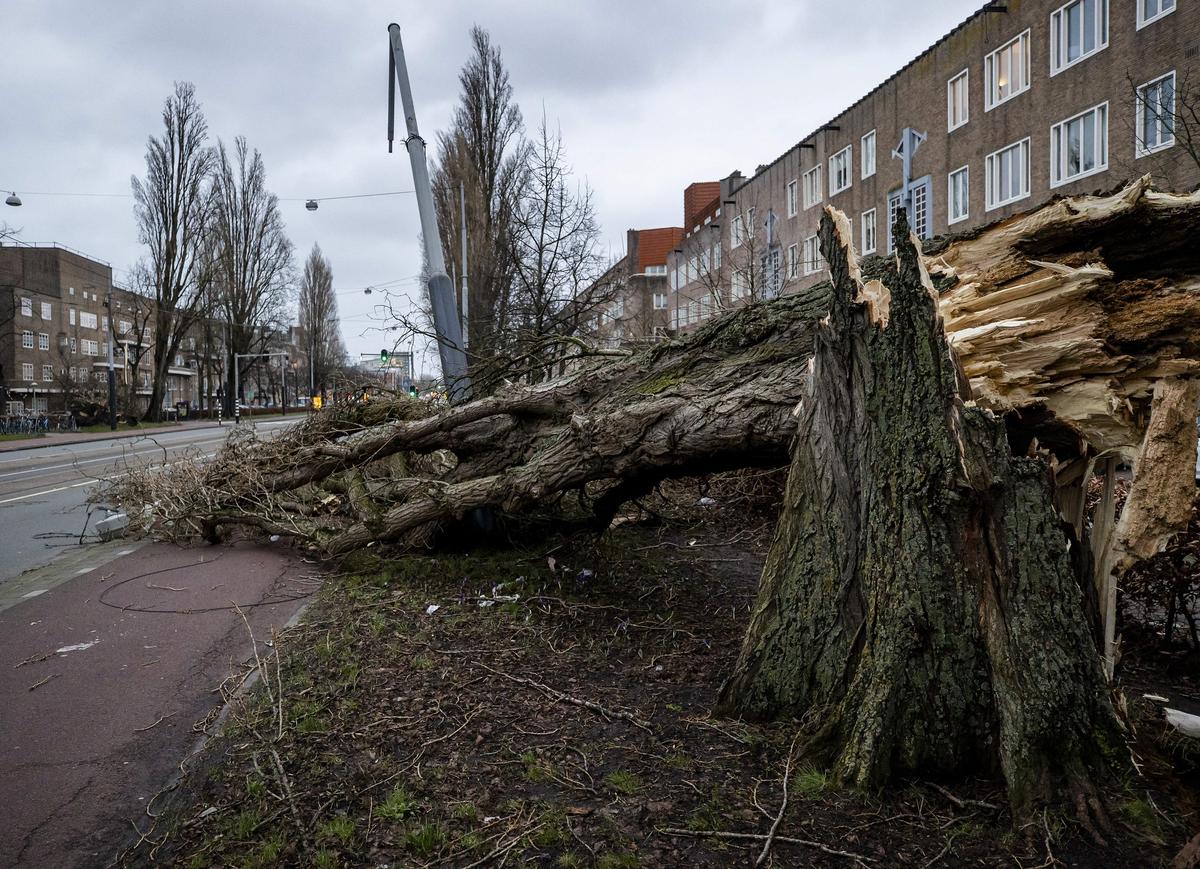 Storm Eunice Batters Europe, Killing at Least 9