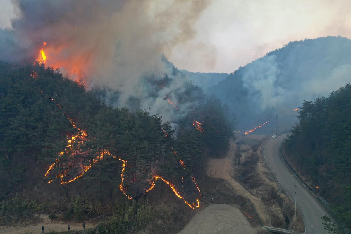 S. Korean Wildfire Destroys 159 Homes, Forces 6,200 to Flee