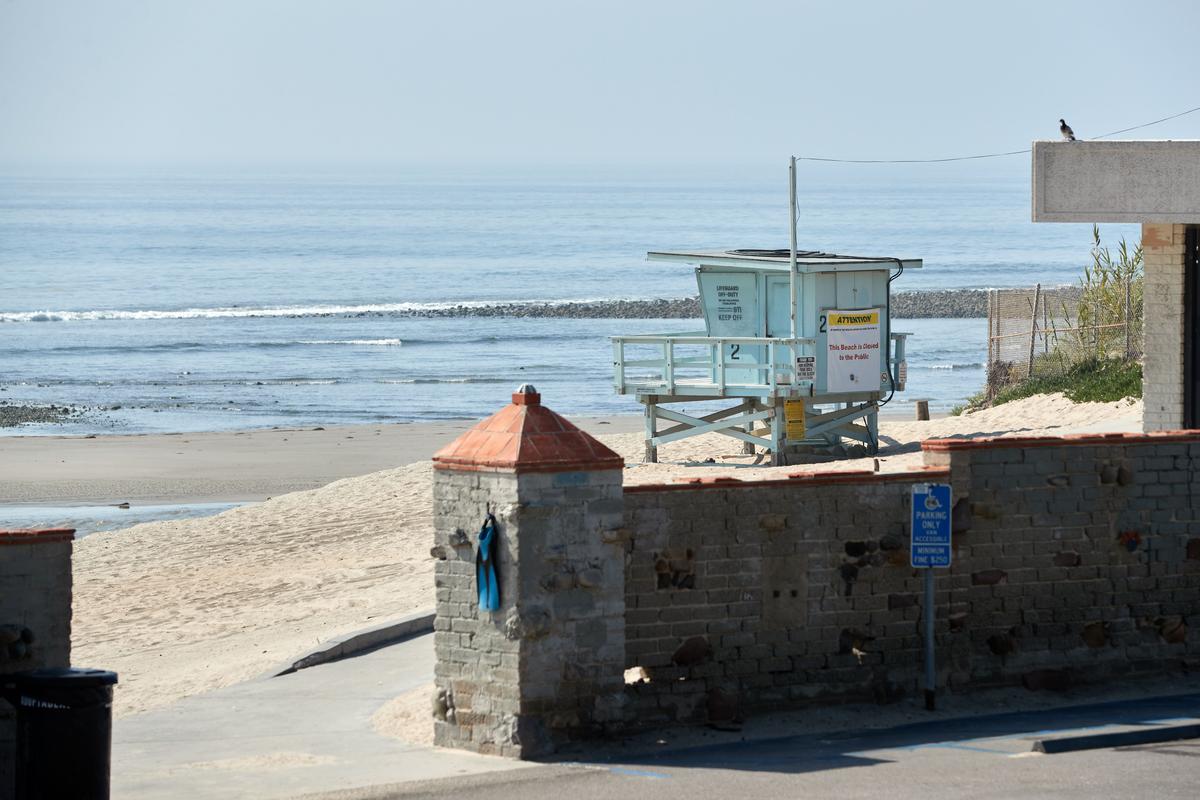 Beached Whale Rescued in Malibu Has Been Euthanized