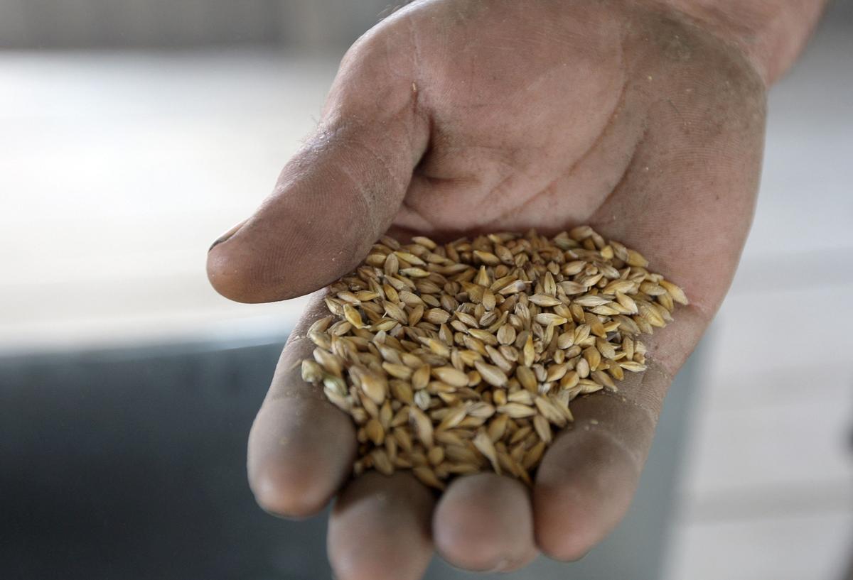 Food Protectionism Threatens to Further Disrupt Global Crop Trading