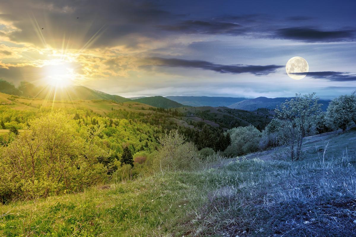 Spring Awakens