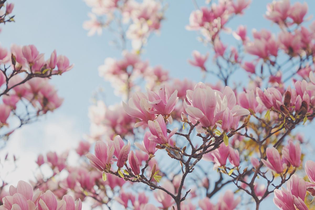 On the Road to Recovery: A Spiritual Journey Begins