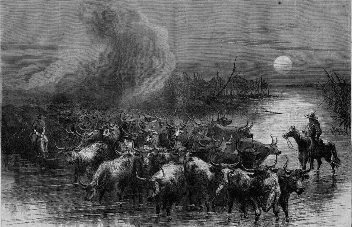 American Pioneer Adventures: Nelson Story Led The Longest Cattle Drive in History, from Texas to Montana