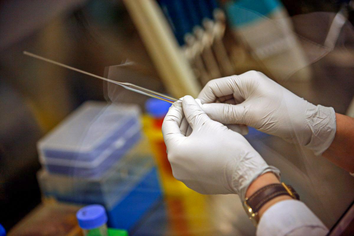 CDC Identifies Drug-Resistant Infections in US Patients Who Traveled to Mexico for Stem Cell Treatments