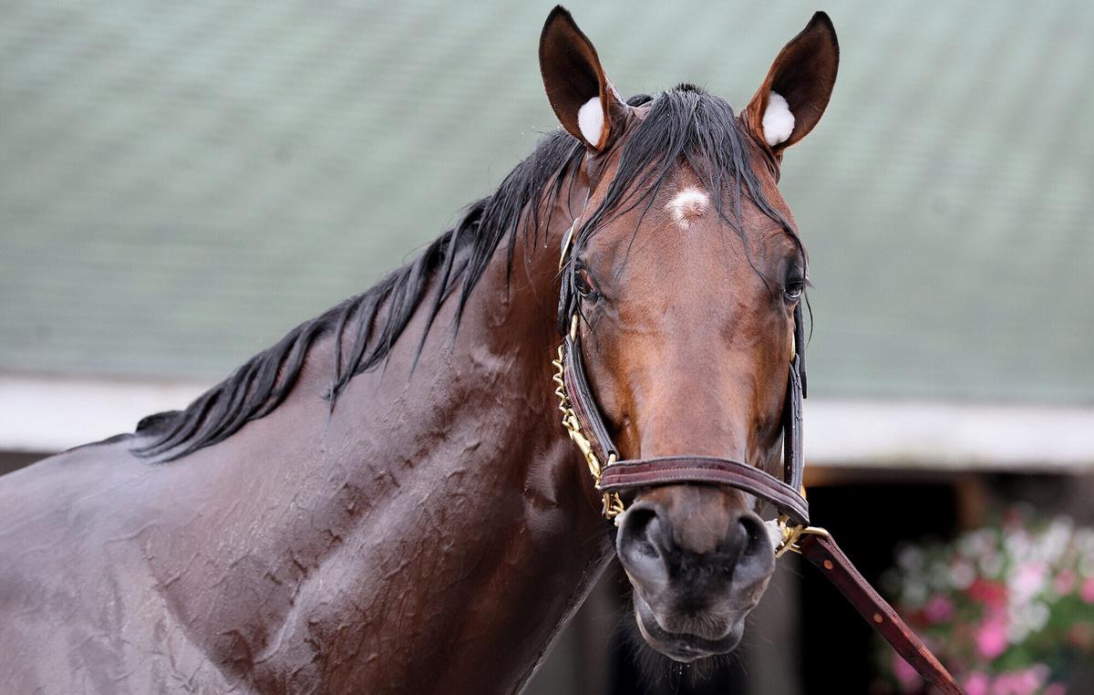 Kentucky Derby Should Be One of the Most Competitive in Years