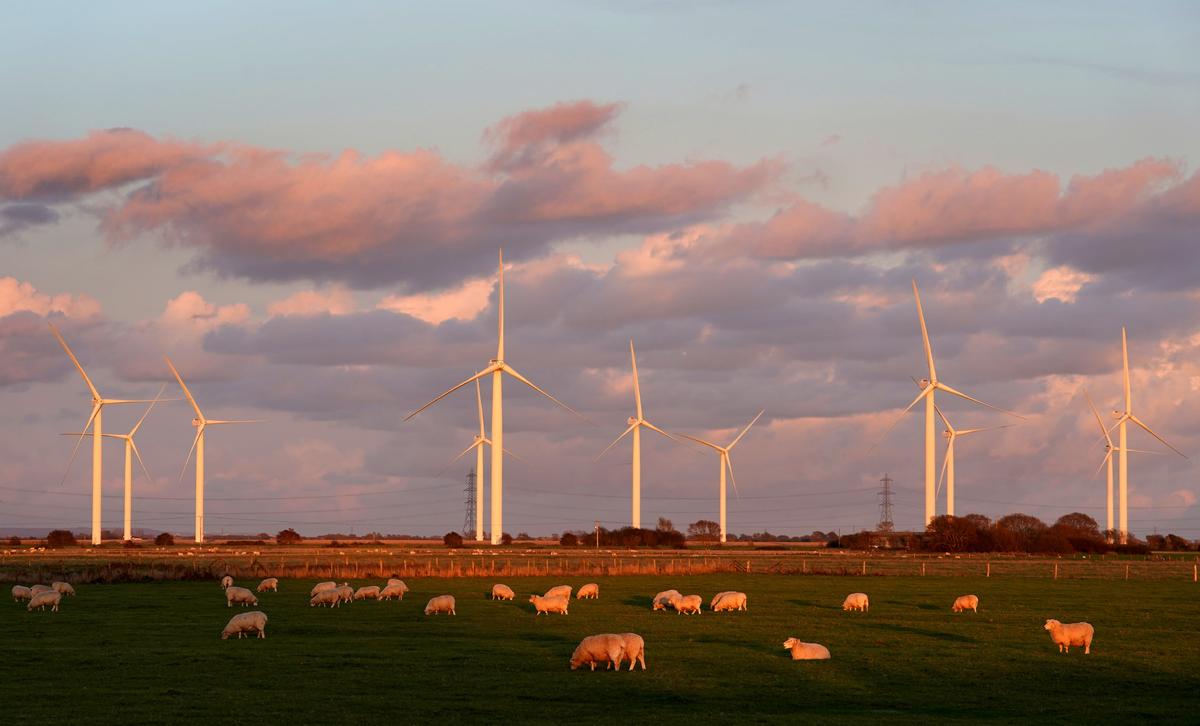 Analysts Welcome Labour’s Onshore Wind Planning Reform But Question Prices Claim