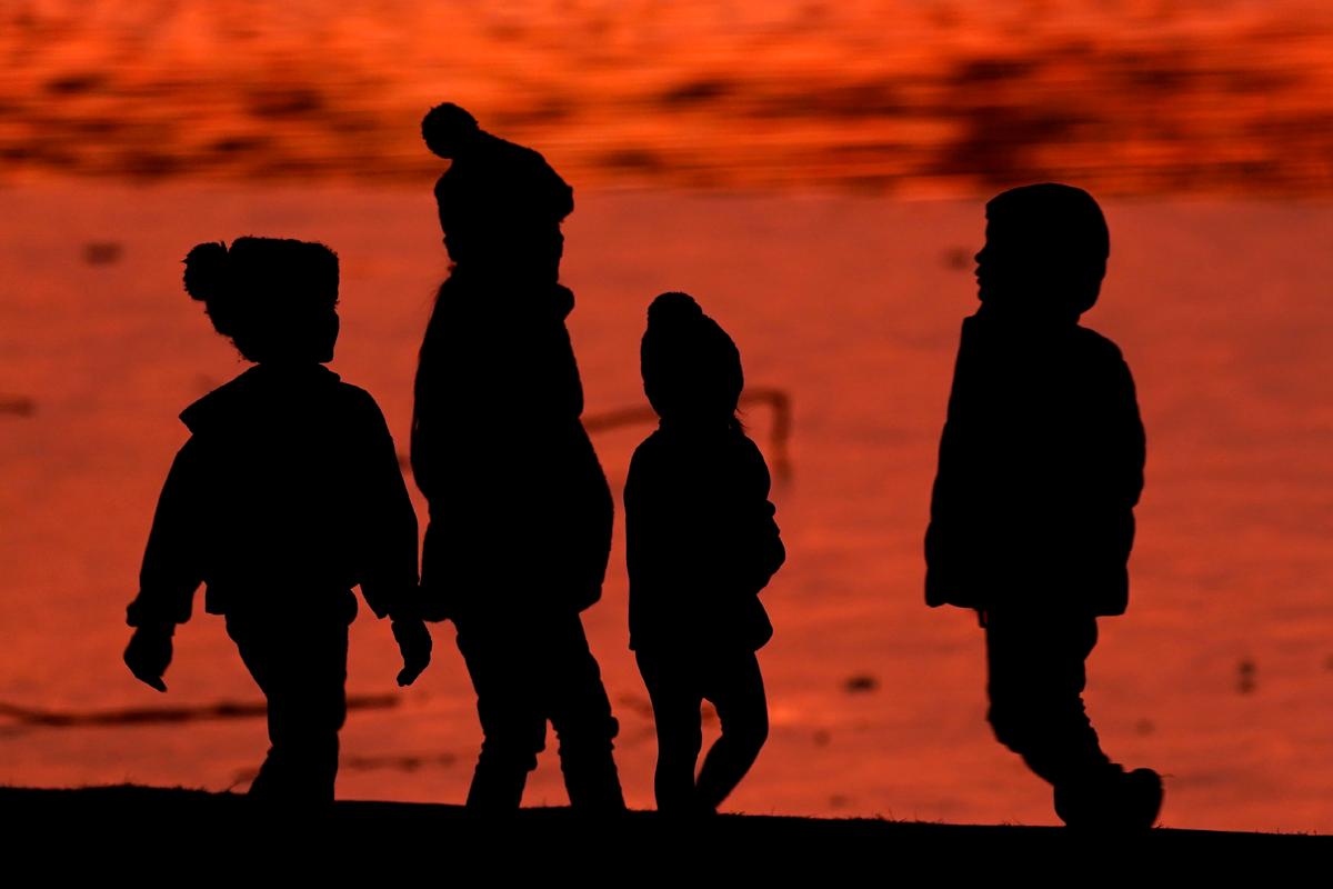 Theories Emerge for Mysterious Liver Illnesses in Children