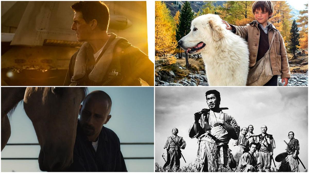 Epoch Watchlist: What to Watch for May 20–26